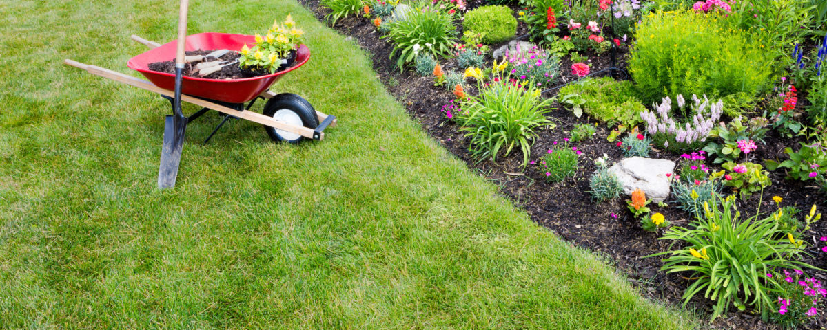 Common Landscaping Mistakes To Avoid, What Do Landscapers In The Winter Time Mean