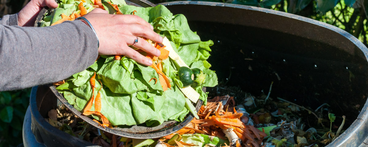how to start composting