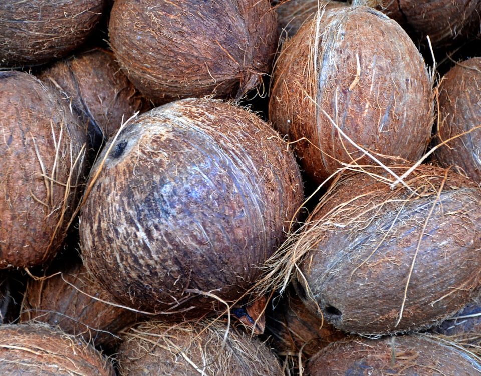 Coconut Husks for Gardeing