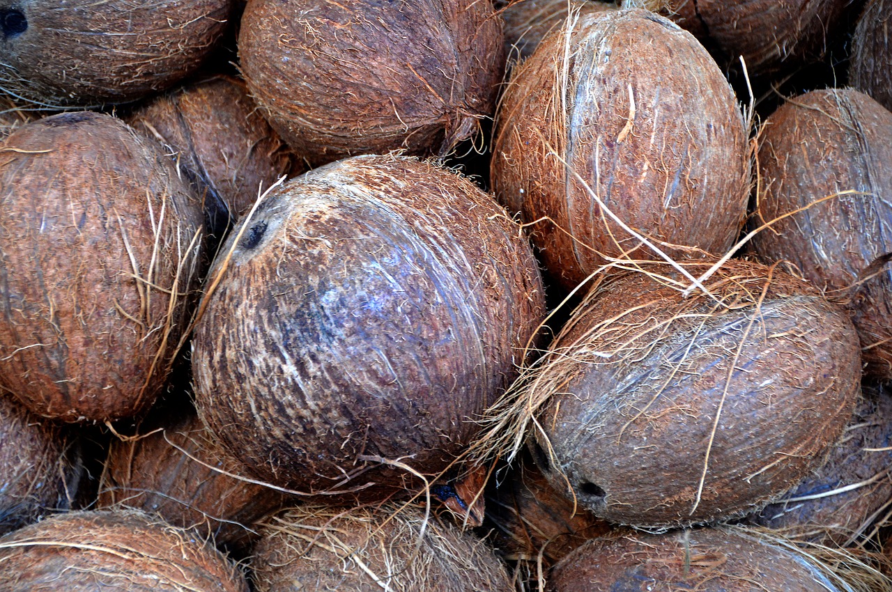 Coconut Husks for Gardeing