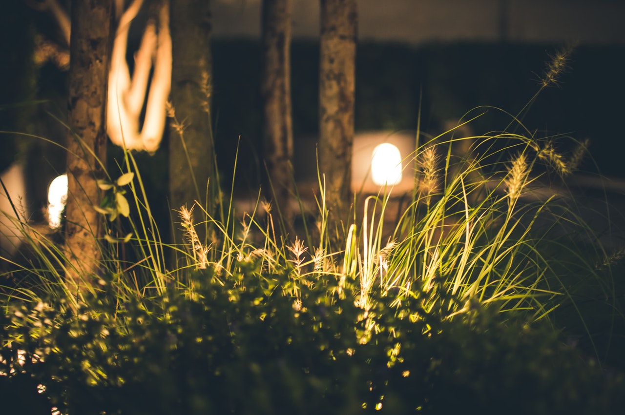 lights in landscaping